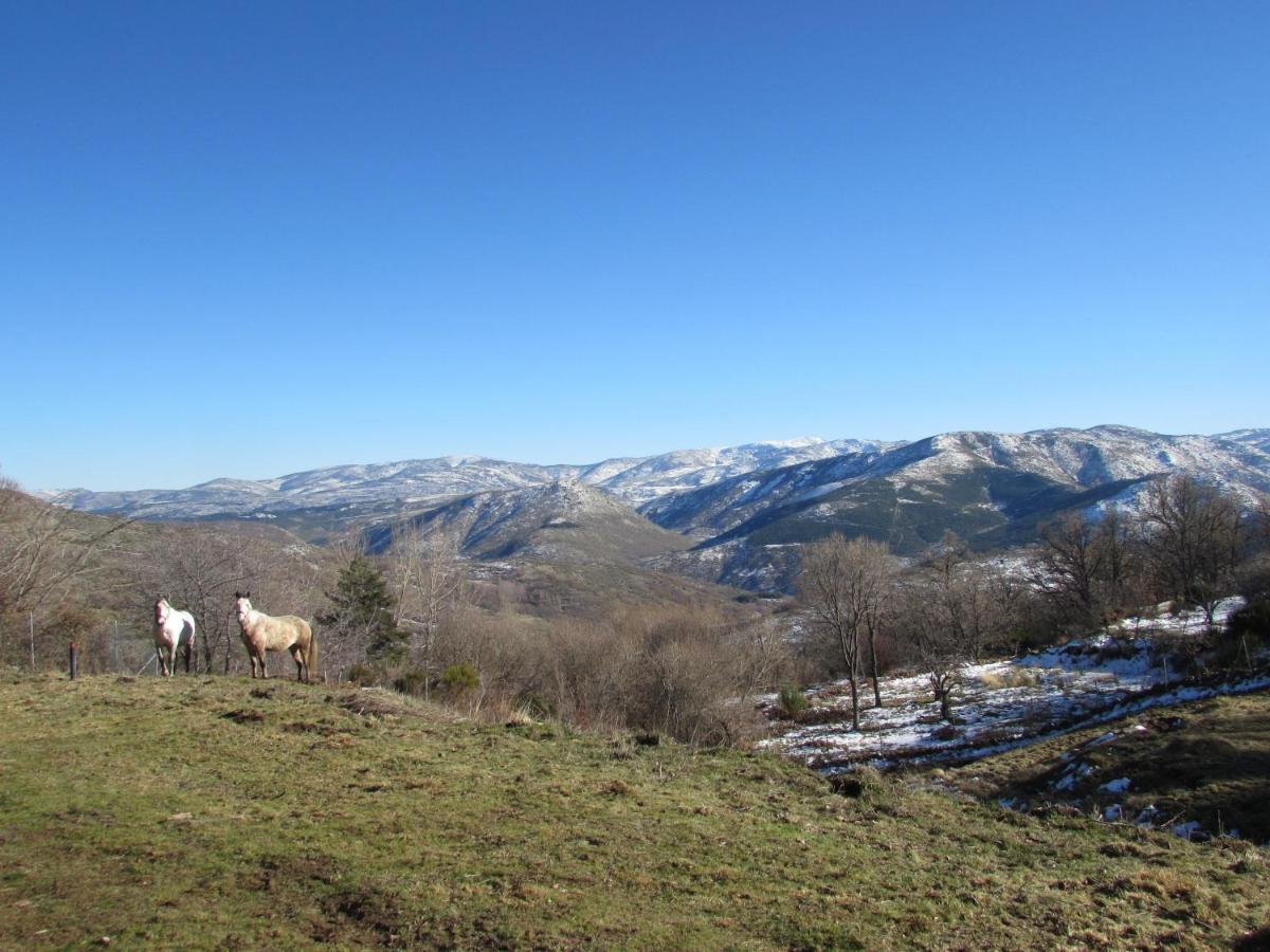 Atardecer En Gredos 1 Villa San Bartolomé de Tormes Exteriör bild